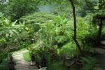 FERN RESORT