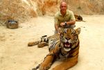 RIVER KWAI - JUNGLE, TIGERS AND ELEPHANTS