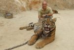 ‘RIVER KWAI’… JUNGLE, TIGERS AND ELEPHANTS