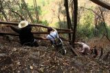 LIVING WITH ETHNIC MINORITIES IN MAE HONG SON