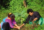 HIMMAPAAN - TO BRING LIVE BACK TO NATURE 