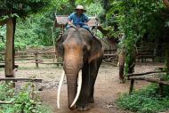 ELEPHANTS & RAFTING