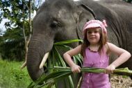 BECOME ELEPHANTS’ MAHUT FOR ONE DAY