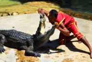 CROCODILE FARM & ANCIENT SIAM