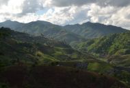 MAE SALONG, A VILLAGE IN THE CLOUDS
