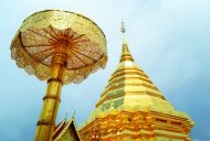 DOI SUTHEP AND THE GOLDEN CHEDI