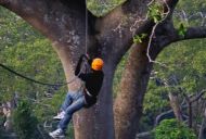 FLIGHT OF THE GIBBON (BANGKOK / CHONBURI)