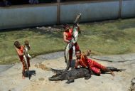 THE CROCODILE FARM