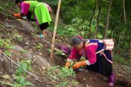 HIMMAPAAN… To bring lives back to nature’ 