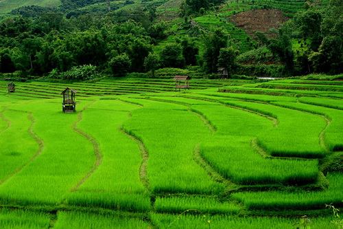 FROM GOLDEN TRIANGLE TO THE COUNTRY OF 12000 RICE FIELDS (SHAN STATE)
